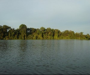 Amazon River  Source Uff travel5